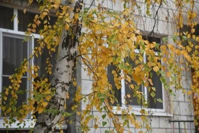 Народные приметы на 18 сентября: что запрещается делать в Кумохин день - volg.mk.ru - Русь