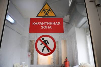 В Челябинской области не будет голосования в «красных зонах» - znak.com - Челябинская обл.