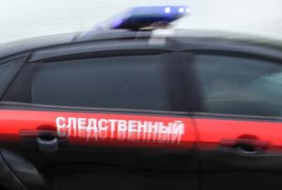 Пропавшую под Орлом девятилетнюю девочку нашли мертвой - argumenti.ru - Россия - Орловская обл. - Дзержинск - Нижегородская обл.
