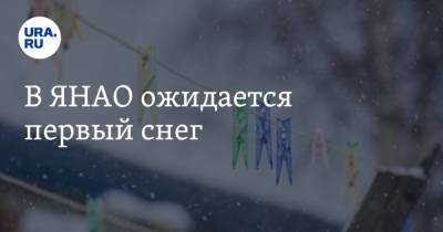 В ЯНАО ожидается первый снег - ura.news - Россия - окр. Янао - район Тазовский - Пуровск