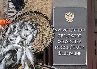 На российском рынке останется только «крупная рыба» - mskgazeta.ru - Россия