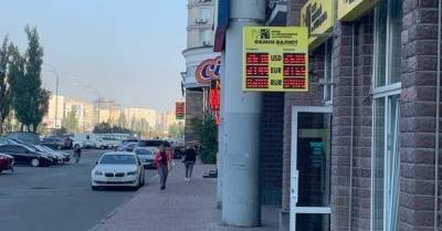 Курс гривни начал расти: аналитики называют это временным явлением - delo.ua - США - Украина