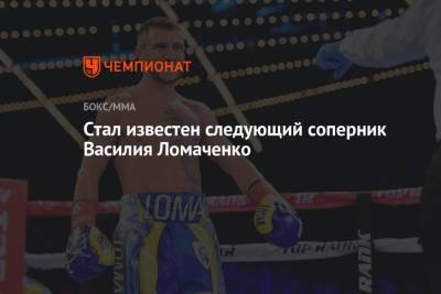 Василий Ломаченко - Александр Усик - Ричард Комми - Стал известен следующий соперник Василия Ломаченко - championat.com