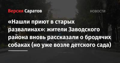 «Нашли приют в старых развалинах»: жители Заводского района вновь рассказали о бродячих собаках (но уже возле детского сада) - nversia.ru - Саратов - район Заводский, Саратов