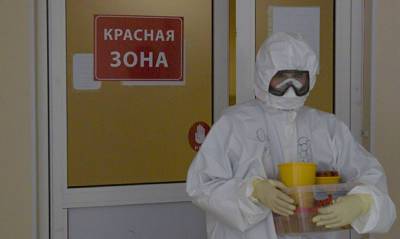 В петербургских ковидных больницах организуют участки для голосования - og.ru - Санкт-Петербург