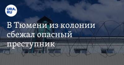 В Тюмени из колонии сбежал опасный преступник - ura.news - Тюмень - Таджикистан - Кемерово