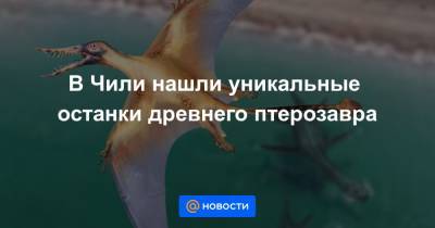 В Чили нашли уникальные останки древнего птерозавра - news.mail.ru - Чили