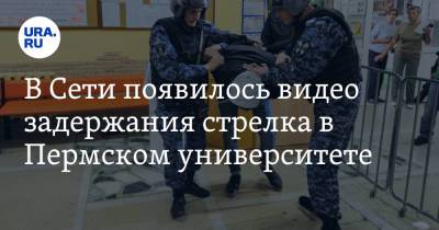 Дмитрий Махонин - В Сети появилось видео задержания стрелка в Пермском университете - ura.news - Россия - Пермь