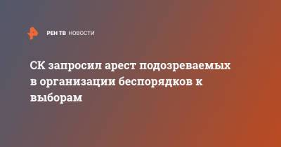 Дмитрий Чебанов - СК запросил арест подозреваемых в организации беспорядков к выборам - ren.tv - Москва - Россия