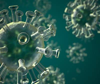 Ученые предоставили новое доказательство природного происхождения коронавируса - actualnews.org - Китай - Лаос - Ухань