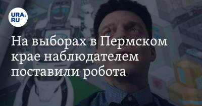 На выборах в Пермском крае наблюдателем поставили робота. Фото - ura.news - Пермь - Пермский край