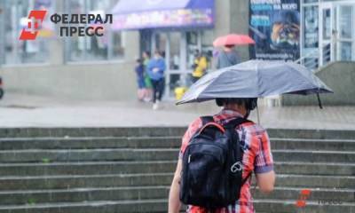 Конец сентября в «тюменской матрешке» будет дождливым - fedpress.ru - Тюмень - Тюменская обл. - Югра