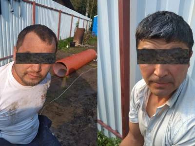 Мигранты, убившие и изнасиловавшие пенсионерку в Подмосковье, оказались многодетными отцами: новые подробности громкого преступления - bloknot.ru - Московская обл. - район Сергиево-Посадский