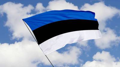 Привитые «Спутником V» граждане смогут приехать в Эстонию - mir24.tv - Москва - Эстония