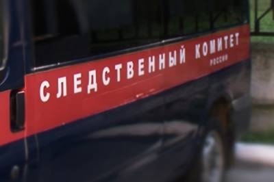 В Чечне возбуждено уголовное дело об истязании двух малолетних сестер - etokavkaz.ru - Россия - респ. Чечня - Грозный
