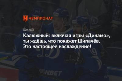 Алексей Кудашов - Калюжный: включая игры «Динамо», ты ждёшь, что покажет Шипачёв. Это настоящее наслаждение! - championat.com - Москва