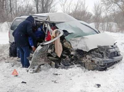 Ford - В Троицке осудили водителя, устроившего ДТП с двумя погибшими - znak.com - Россия - Челябинск