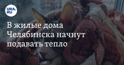 Алексей Текслер - Наталья Котова - В жилые дома Челябинска начнут подавать тепло - ura.news - Челябинская обл. - Челябинск