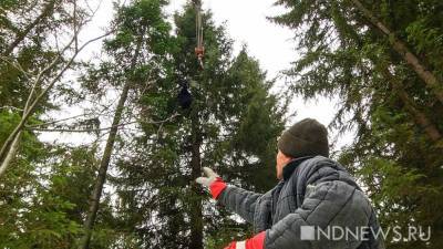 Блэкаут в Екатеринбурге устроили «черные лесорубы» - newdaynews.ru - Екатеринбург