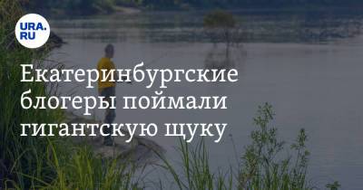 Екатеринбургские блогеры поймали гигантскую щуку. Фото - ura.news - Уральск