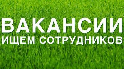 Рабочие места в Ульяновской области: плотнику и электрогазосварщику – до 70000, цифровому разработчику – до 130000 - ulpravda.ru - Ульяновск - Ульяновская