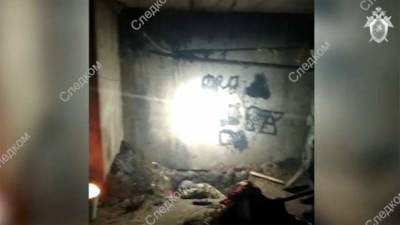 Ирина Волк - Подозреваемый в убийстве девочки под Орлом ранее задерживался в связи с изнасилованием ребенка - iz.ru - Россия - Орловская обл. - Израиль