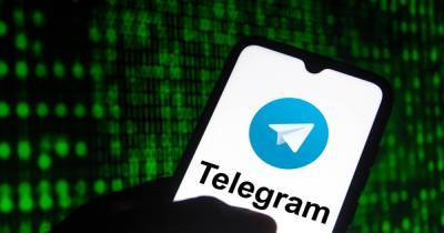 Павел Дуров - Telegram решил соблюдать "день тишины" во время выборов в Госдуму - ren.tv - Россия