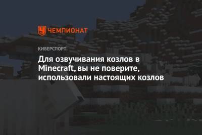 Для озвучивания козлов в Minecraft, вы не поверите, использовали настоящих козлов - championat.com