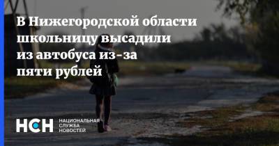 В Нижегородской области школьницу высадили из автобуса из-за пяти рублей - nsn.fm - Дзержинск - Нижегородская обл.