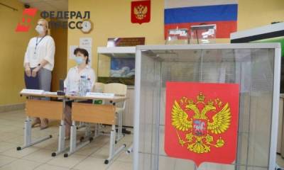 За ходом выборов на Южном Урале проследят эксперты из Камеруна, Того и Шри-Ланки - fedpress.ru - Челябинская обл. - Челябинск - Камерун - Шри Ланка