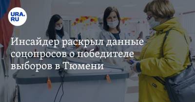 Инсайдер раскрыл данные соцопросов о победителе выборов в Тюмени - ura.news - Россия - Тюмень - Тюменская обл.