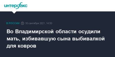 Во Владимирской области осудили мать, избивавшую сына выбивалкой для ковров - interfax.ru - Москва - Владимирская обл.