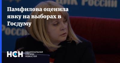 Элла Памфилова - Памфилова оценила явку на выборах в Госдуму - nsn.fm - Россия