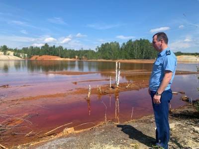 Прокуратура обратилась в суд из-за загрязненной металлами земли под Екатеринбургом - znak.com - Екатеринбург - Свердловская обл. - Дегтярск - Экология