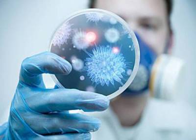 Анна Попова - Попова заявила, что в России уже создали тест-систему для выявления вируса Нипах - koronavirus.center - Россия - India - штат Керала