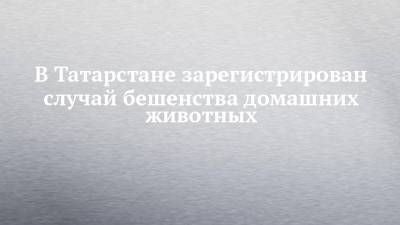 В Татарстане зарегистрирован случай бешенства домашних животных - chelny-izvest.ru - респ. Татарстан - район Нижнекамский