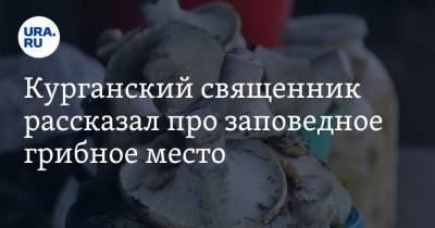 Курганский священник рассказал про заповедное грибное место. Видео - ura.news