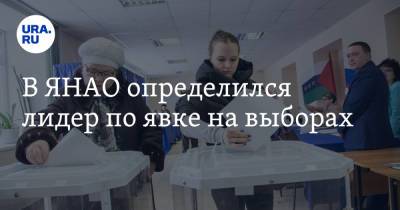 В ЯНАО определился лидер по явке на выборах - ura.news - Тюмень - окр. Янао - район Красноселькупский