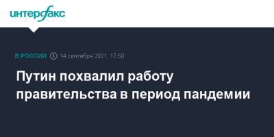 Владимир Путин - Путин похвалил работу правительства в период пандемии - interfax.ru - Москва - Россия