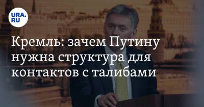 Владимир Путин - Дмитрий Песков - Кремль: зачем Путину нужна структура для контактов с талибами - ura.news - Россия - Афганистан