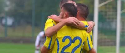 Собаки та кінь ледь не зірвали під Полтавою матч Україна – Італія - w-n.com.ua - Україна - Італія
