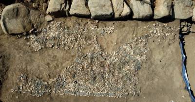 Возраст 3500 лет: в Турции нашли древнейшую в мире мозаику (фото) - focus.ua - Украина - Турция - Turkey