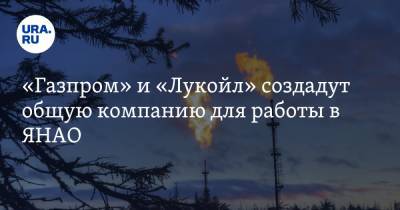 «Газпром» и «Лукойл» создадут общую компанию для работы в ЯНАО - ura.news - окр. Янао