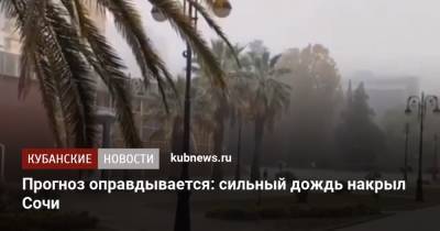 Прогноз оправдывается: сильный дождь накрыл Сочи - kubnews.ru - Сочи - Краснодарский край