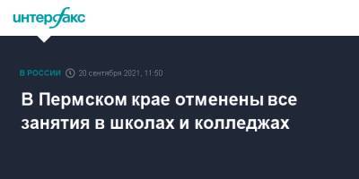 Михаил Мурашко - В Пермском крае отменены все занятия в школах и колледжах - interfax.ru - Москва - Пермь - Пермский край