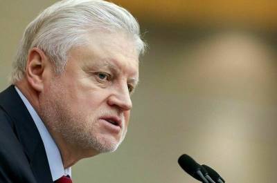 Элла Памфилова - Сергей Миронов - Миронов проголосовал на выборах депутатов Госдумы - pnp.ru - Россия