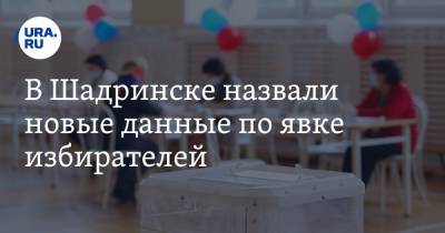 В Шадринске назвали новые данные по явке избирателей - ura.news - Курганская обл. - Шадринск