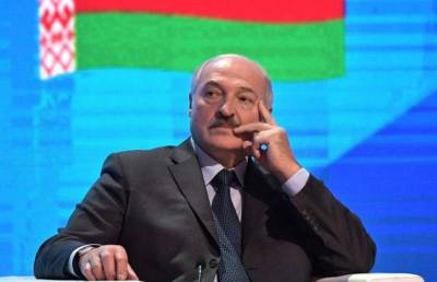 Александр Лукашенко - Появилось фото нашумевшего подарка Лукашенко на 67-летие - pupolita.ru - Белоруссия - Гомельская обл.