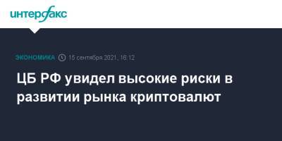 Сергей Швецов - ЦБ РФ увидел высокие риски в развитии рынка криптовалют - interfax.ru - Москва - Россия