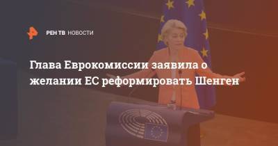 София Сапега - Глава Еврокомиссии заявила о желании ЕС реформировать Шенген - ren.tv - Белоруссия - Польша - Литва - Вильнюс - Минск - Латвия - Ляйен - Ирландия